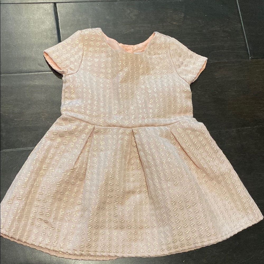 The Children's Place Pink Pleated Puff Sleeve Dress